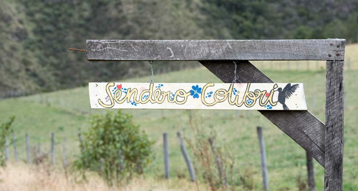 Hummingbirds and More at Tambo Condor