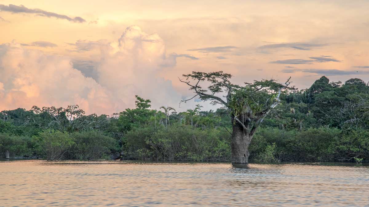 Laguna Grande, una historia fotográfica de Cuyabeno, Ecuador | ©Ángela Drake