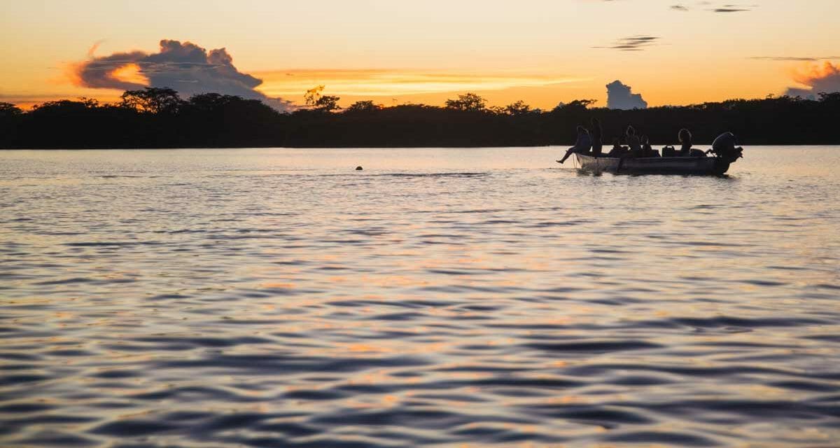 Finding Hope in «Esto también es Ecuador»