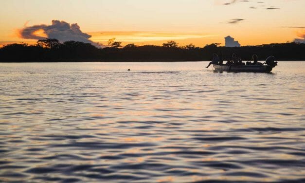 Finding Hope in «Esto también es Ecuador»