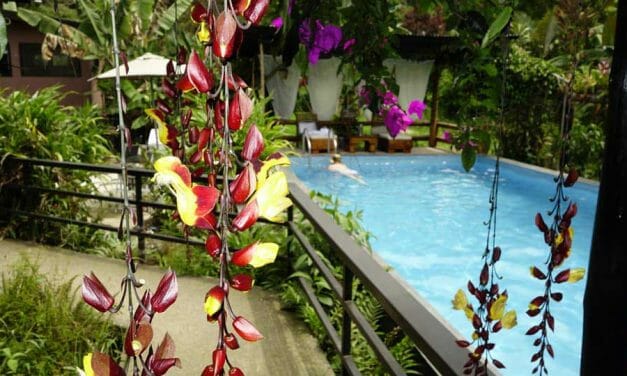 Birdwatching and Relaxation at a Mindo Ecolodge