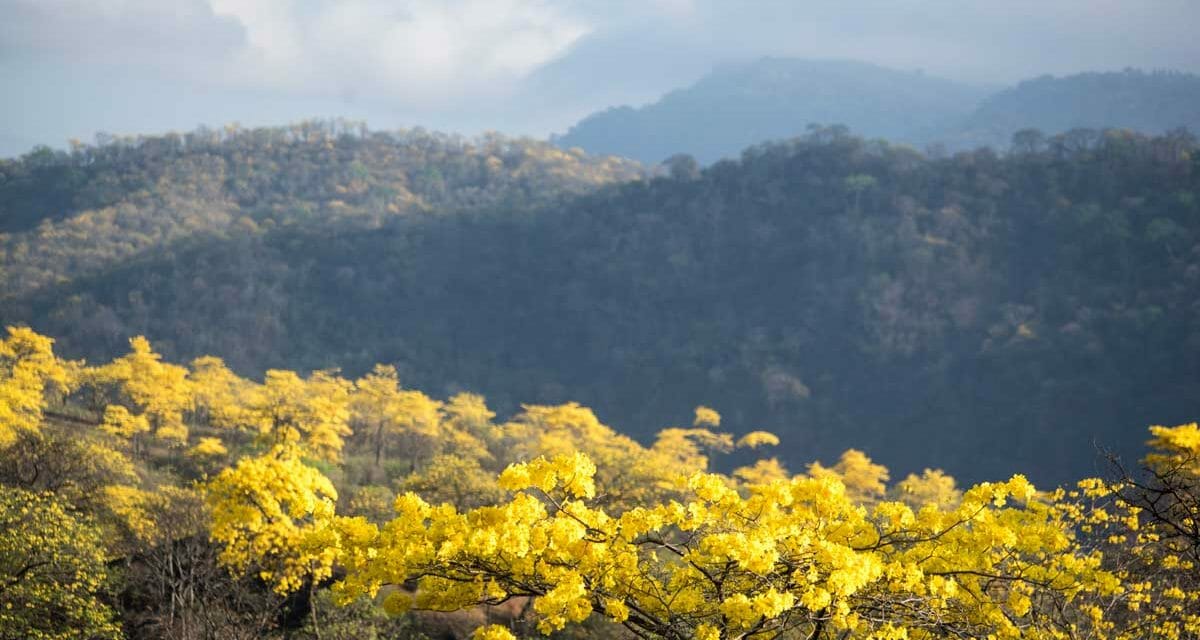 Firmamos la Declaración de Glasgow para la Acción Climática en el Turismo
