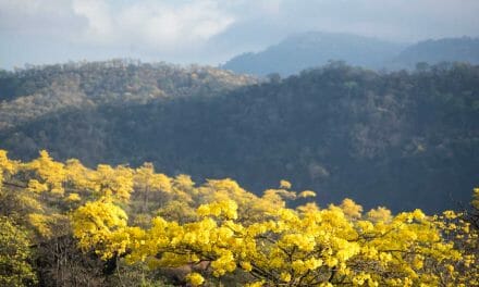 Firmamos la Declaración de Glasgow para la Acción Climática en el Turismo