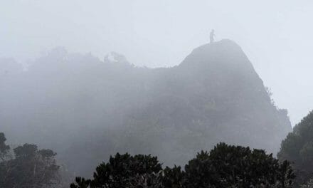 Where to See Andean Condors in Southern Colombia