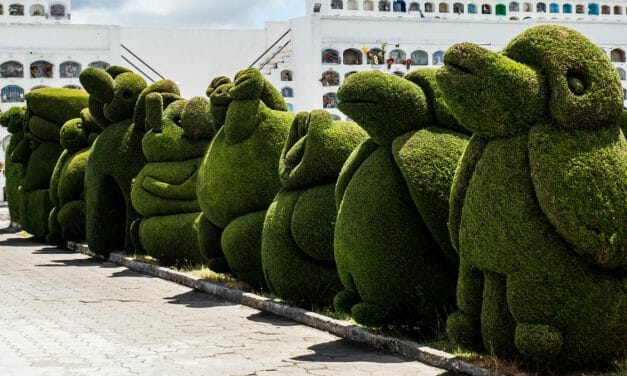 The Spectacular Topiaries of Tulcan