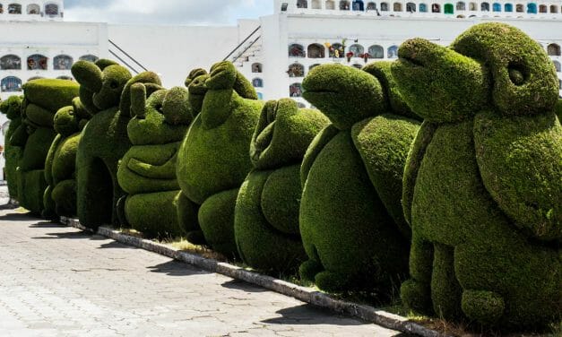 Los espectaculares topiarios del cementerio de Tulcán
