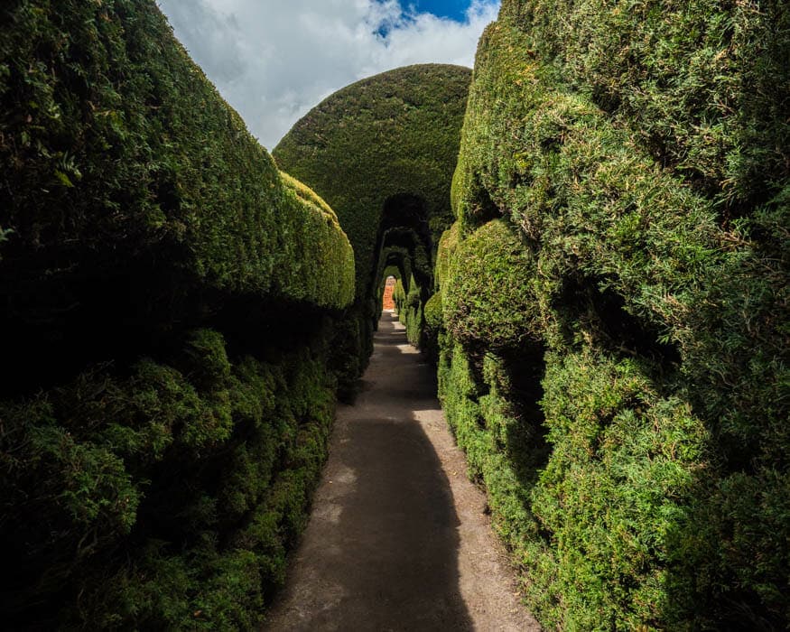 Estos árboles tenían fácilmente 3.5 metros de altura | © Ernest Scott Drake Túnel Topiario, Cementerio de Tulcán, Ecuador | © Ernest Scott Drake