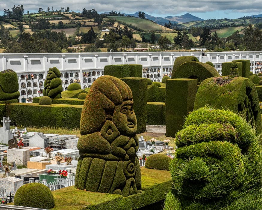 Observe la diferencia entre la figura terminada y la que necesita un recorte | © Ernest Scott Drake | Topiary recién recortado © Ernest Scott Drake