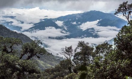 6 Reasons to Visit The Tapichalaca Reserve