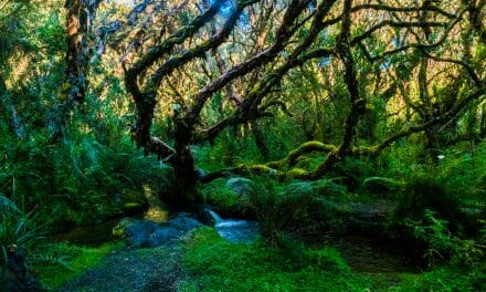 La impresionante Reserva El Ángel