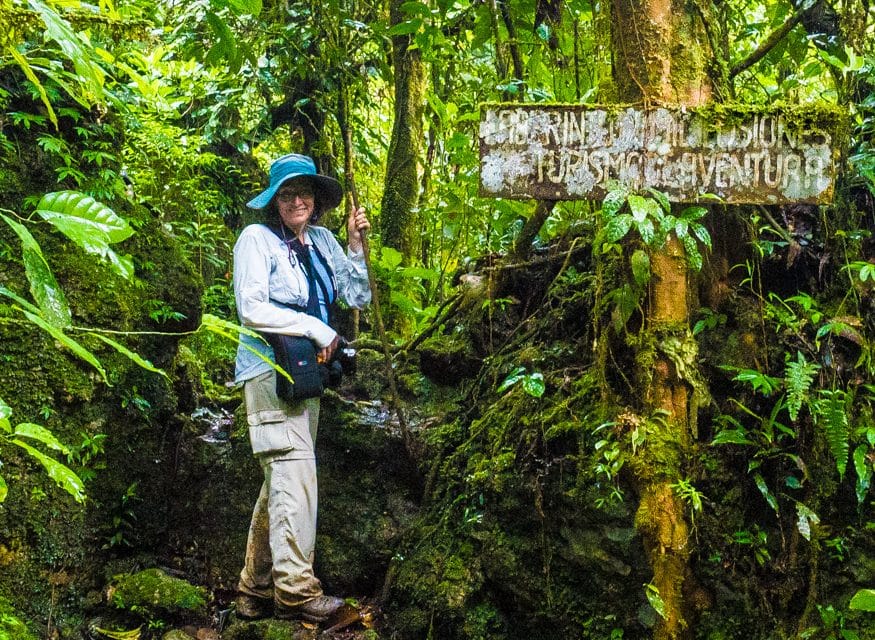 Coronavirus Ha Invertido El Turismo