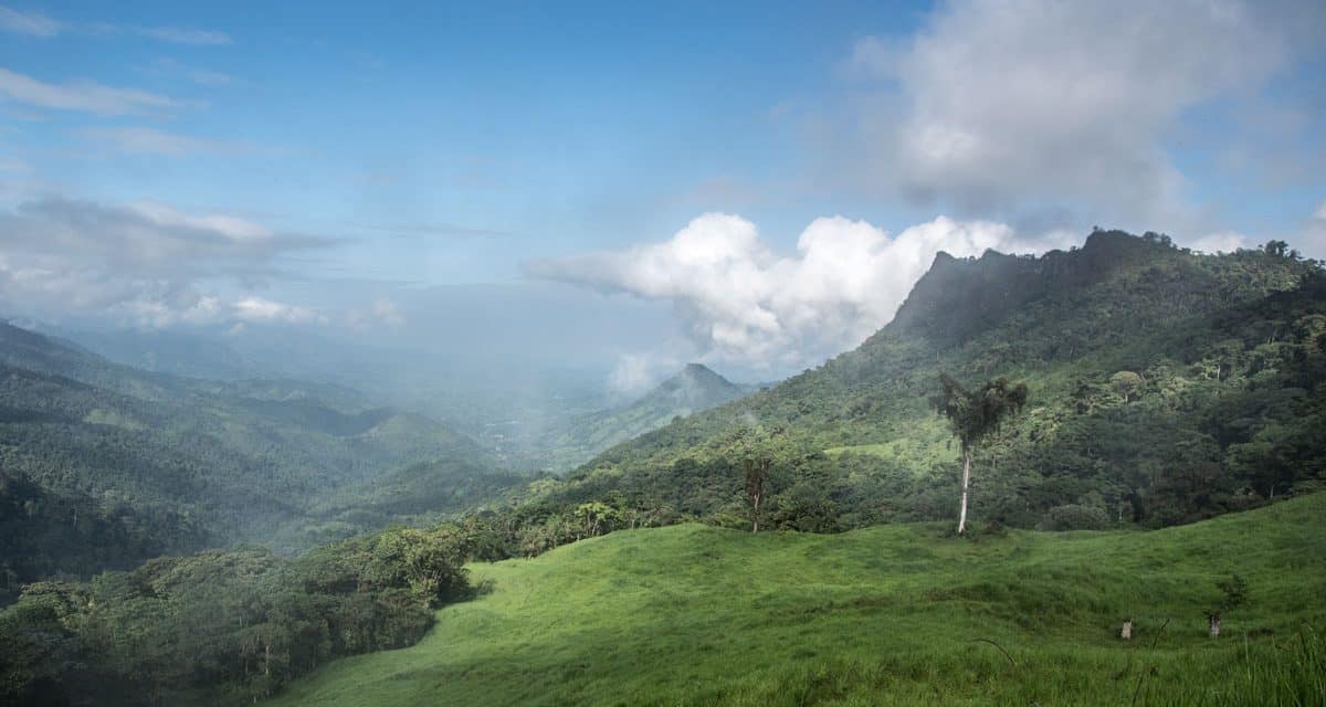 The Best of Buenaventura