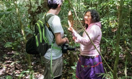 Soy Guía De Turismo Y EL COVID-19 INFECTÓ MI TRABAJO