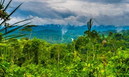 The Labyrinth of a Thousand Illusions