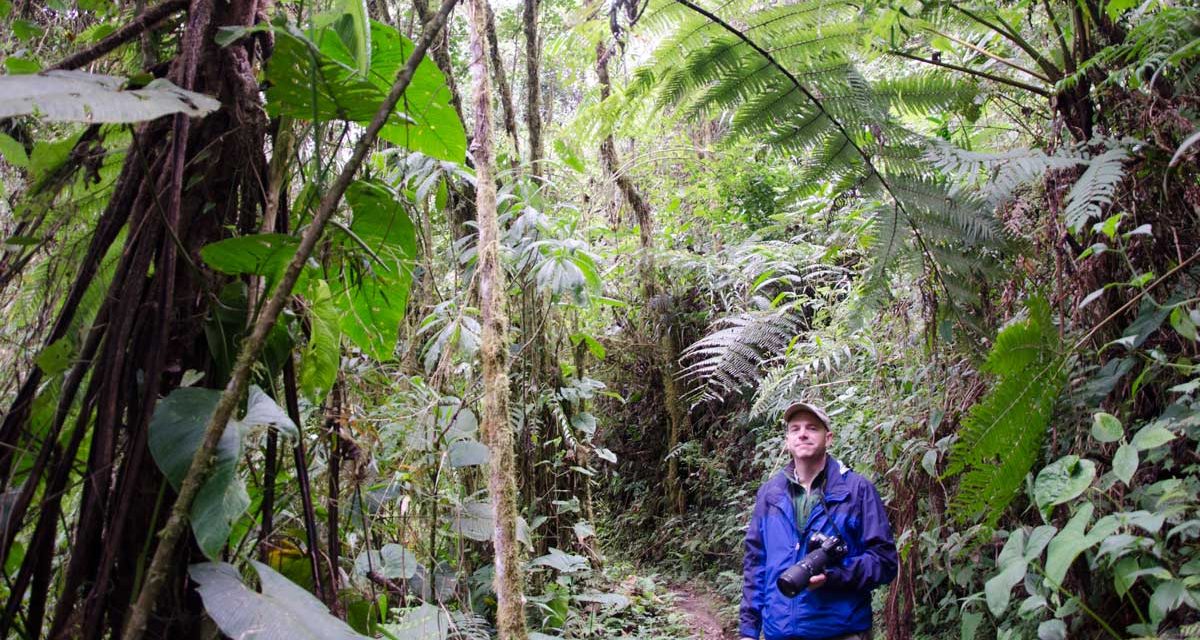 Reserva del Bosque Nuboso Bellavista