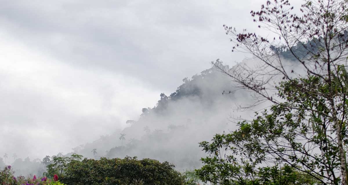 What You Need To Know About Mindo, Ecuador
