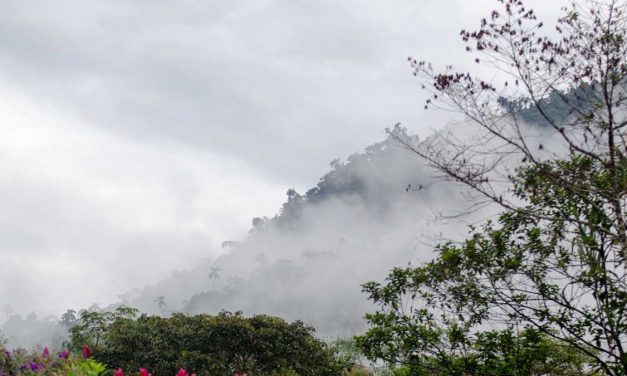 What You Need To Know About Mindo, Ecuador
