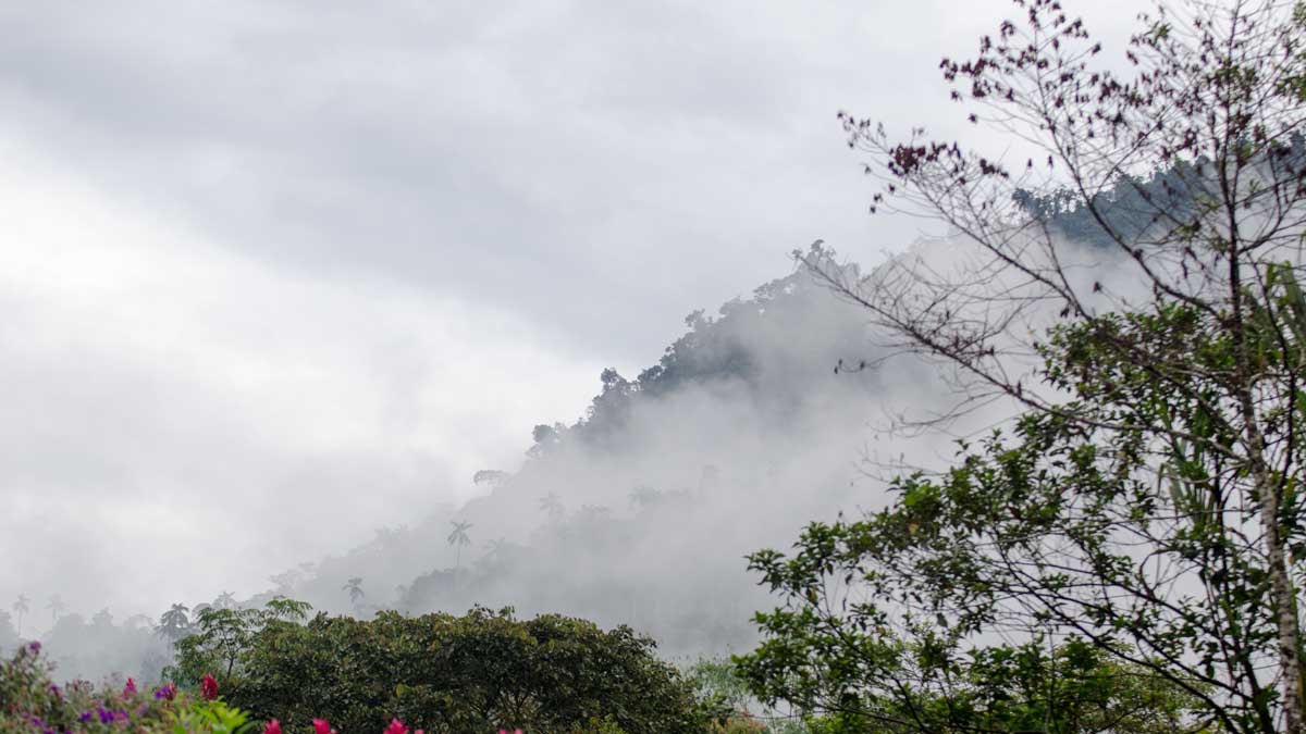 The Cloud Forest, Mindo, Ecuador | ©Angela Drake