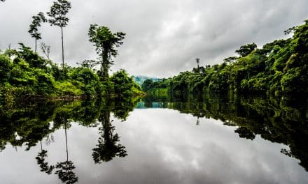 A Nangaritza River Cruise