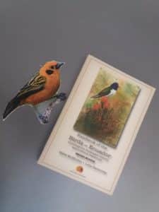 Archivado libro de las Aves del Ecuador