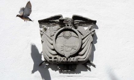 The First Cry for Freedom: A Story of Ecuadorian Independence