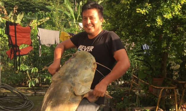 Pesca de bagre en tiempos de Coronavirus
