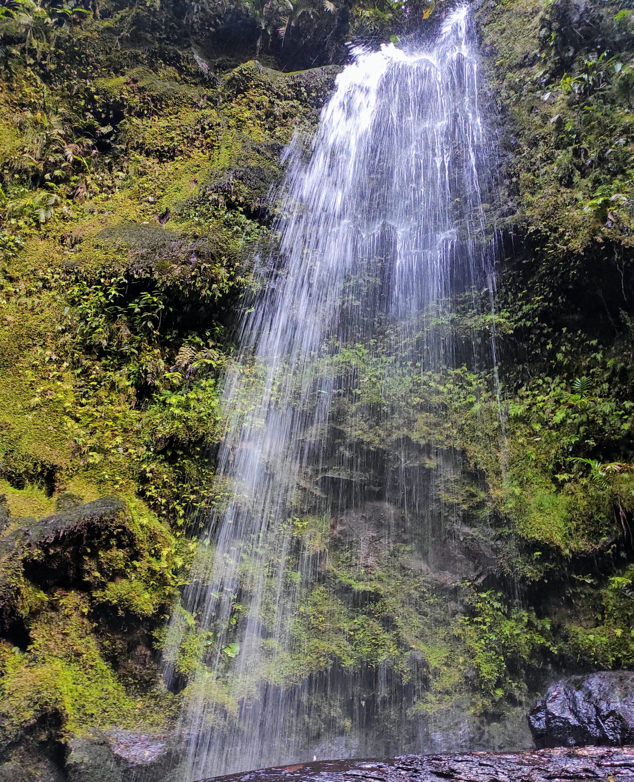 Waterfall, Napo Province ©Jacqueline Granda