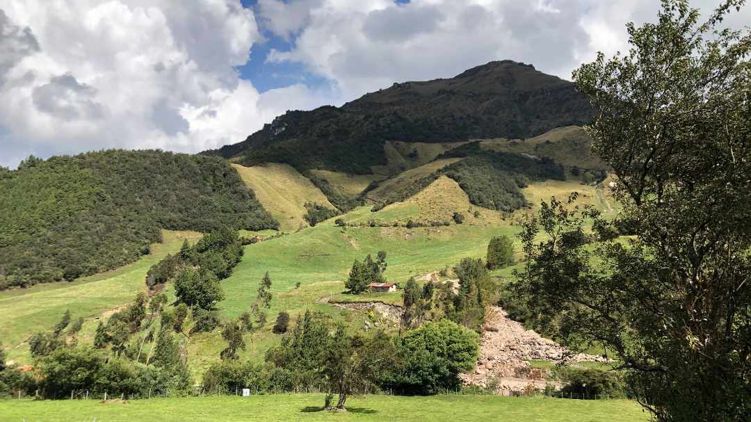 Montaña con árboles y pastos, cielo azul, nubes blancas