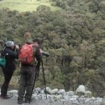 El Conteo Mundial 2020 en Parque Nacional Llanagantes