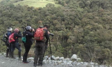 El Conteo Mundial 2020 en Parque Nacional Llanagantes