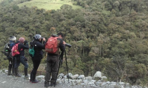 El Conteo Mundial 2020 en Parque Nacional Llanagantes