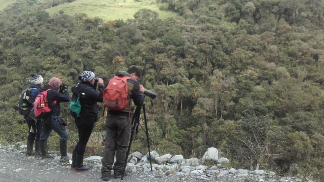 Contando aves para el Conteo Mundial 2020, Ecoruta Rumipishku, Parque Llangantes, Ecuador | ©Carlos Diaz