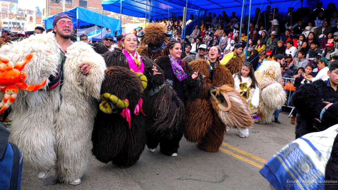 Participantes de la procesión vestidas como osos en colores de negro, cafe, y blanco