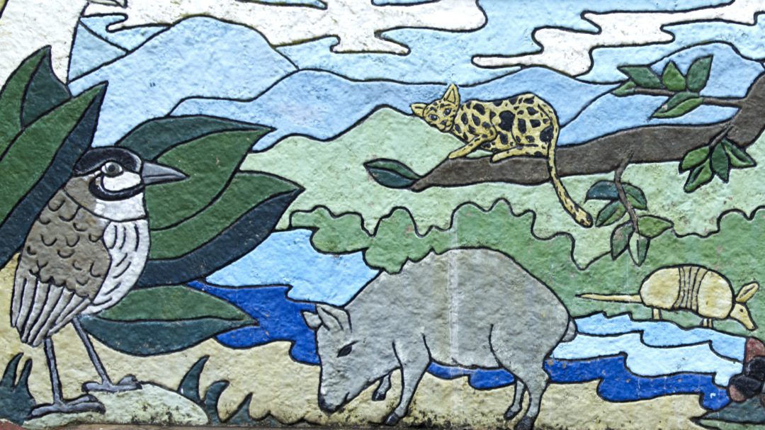 Un mural en Palanda, Ecuador destaca el Jocotoco Antpitta | ©Angela Drake Mural pintado de Antpitta, tapir, ocelote y armadillo