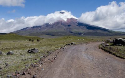 Tour Cotopaxi Como Un Residente