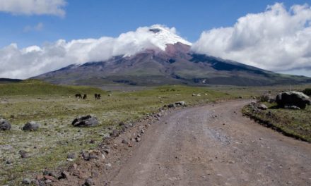Tour Cotopaxi Como Un Residente