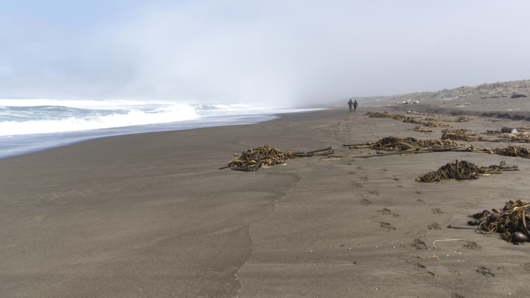 Los pasos en la arena conducen a una pareja en la distancia con las olas del océano rompiendo en el lado izquierdo