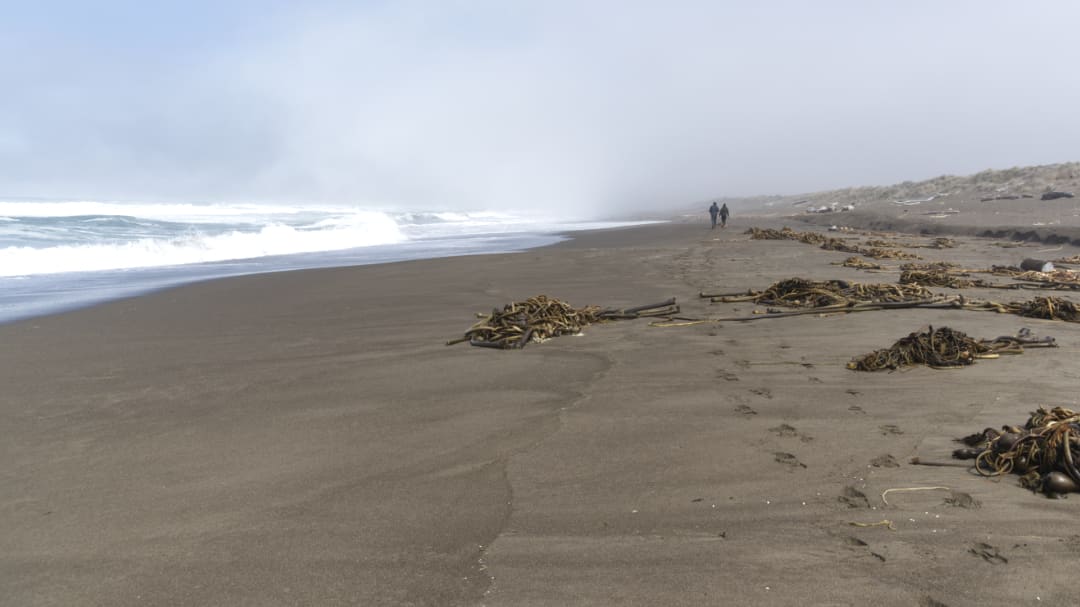 Viaje transformacional significa ser intencional sobre las decisiones que tomamos | ©Ángela Drake Los pasos en la arena conducen a una pareja en la distancia con las olas del océano rompiendo en el lado izquierdo