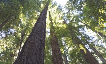 Una introducción simple a los viajes transformacionales