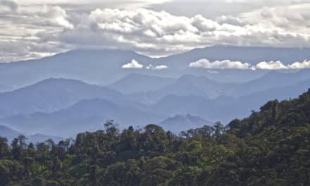 Salvar Refugio Paz de las Aves