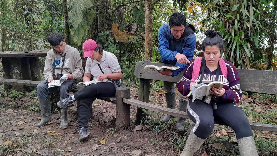 Sergio se inclina sobre un banco para señalar un pájaro en una guía para una joven que está aprendiendo a identificar pájaros