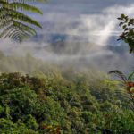 La Reserva Mashpi Amagusa en peligro de perder tierras