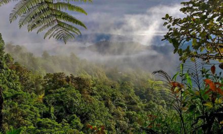 La Reserva Mashpi Amagusa en peligro de perder tierras