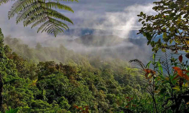 La Reserva Mashpi Amagusa en peligro de perder tierras