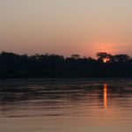 5 consejos esenciales para evitar las picaduras de mosquito en el Amazonas