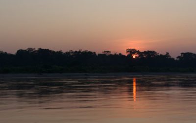 5 consejos esenciales para evitar las picaduras de mosquito en el Amazonas