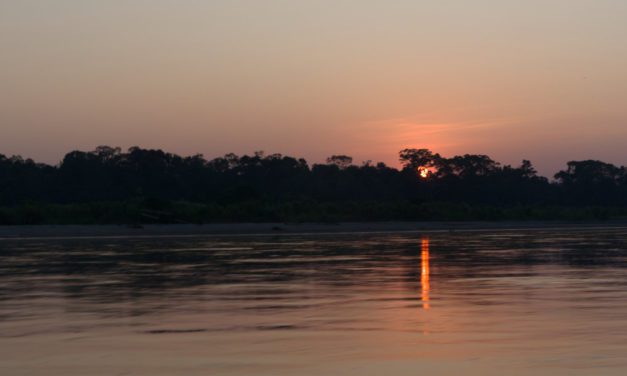 5 consejos esenciales para evitar las picaduras de mosquito en el Amazonas