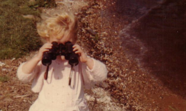 Best Gifts for Birders & Birdwatchers
