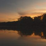 Planifica tu viaje a la Reserva Biológica Limoncocha de Ecuador
