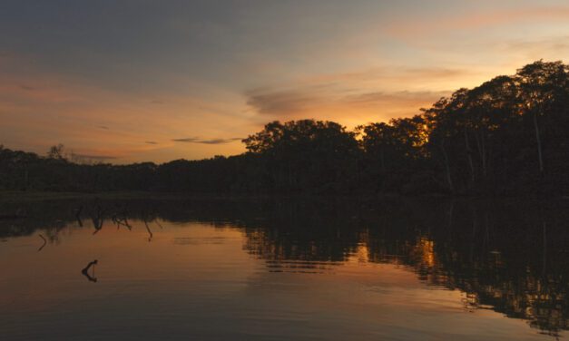 Planifica tu viaje a la Reserva Biológica Limoncocha de Ecuador